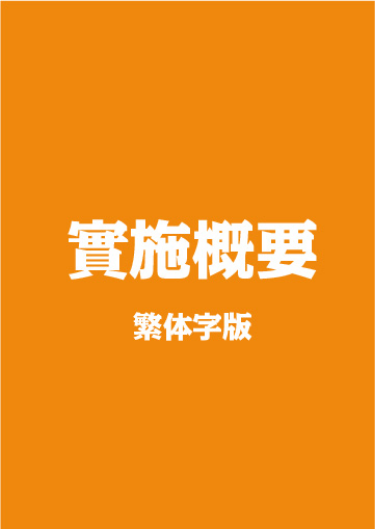 實施概要